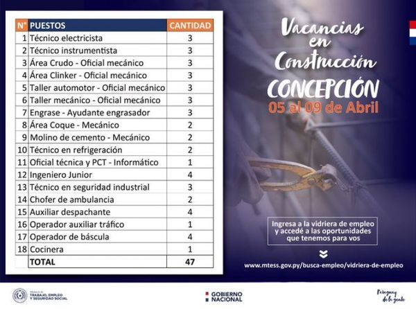 Empresa de celulosa a instalarse en Concepción cuenta con 47 vacancias laborales