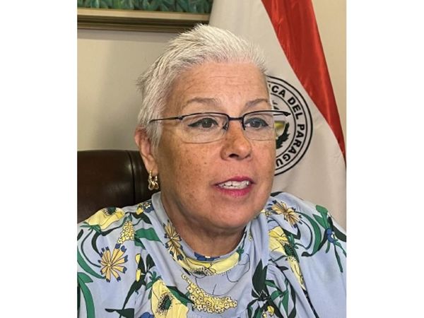 Paraguay en titularidad del Consejo de la OEA