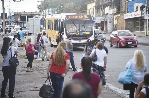 Transporte está hace siete días acéfalo y hay “reguladas”  hace más de un mes - Nacionales - ABC Color