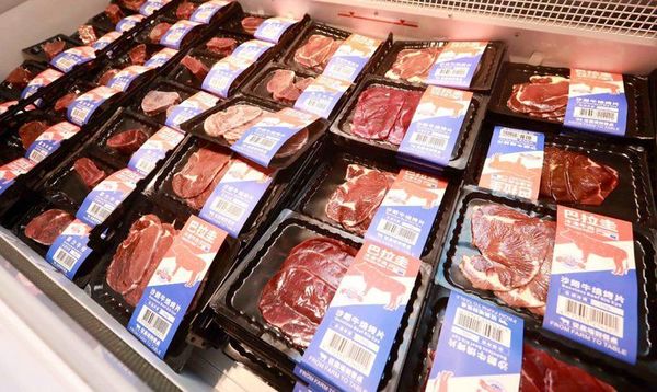 Mercado internacional cada vez más enamorado de la carne paraguaya