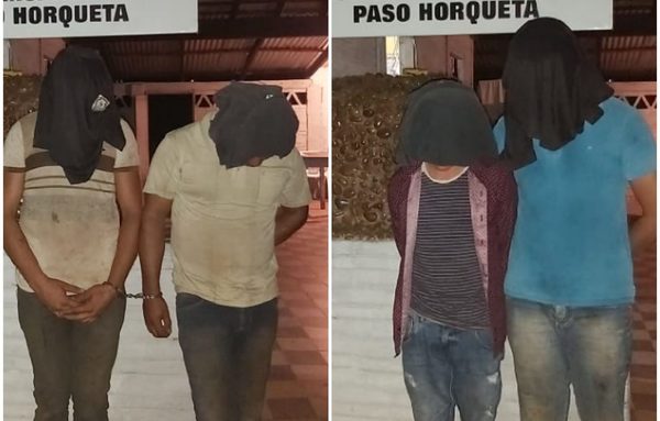 Cae grupo de abigeos en Paso Horqueta