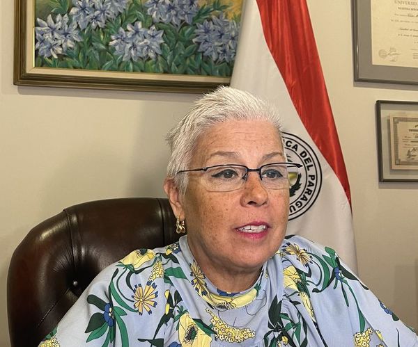 Paraguay asume titularidad del Consejo Permanente de la OEA por los próximos tres meses - Nacionales - ABC Color