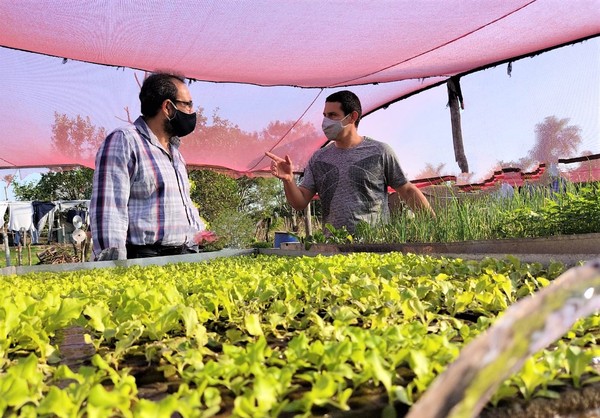CAH cuenta con préstamos dirigidos al sector de la agricultura familiar campesina | .::Agencia IP::.