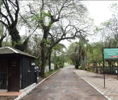 Caso Botánico: Hallan un colchón hecho de pasto en el takuaral | Ñanduti