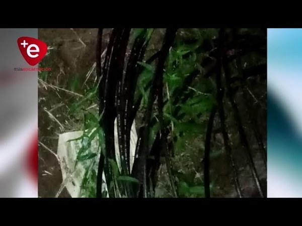 DE NUEVO HURTAN CABLES SUBTERRÁNEOS EN ENCARNACIÓN