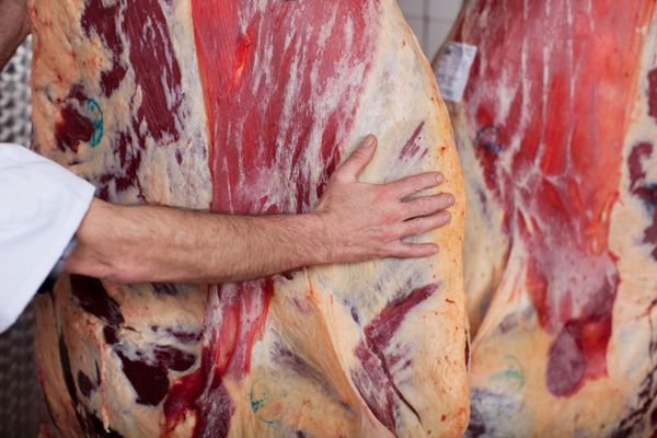 Exportación de carne creció 33% en el primer trimestre y se reporta récord histórico - MarketData