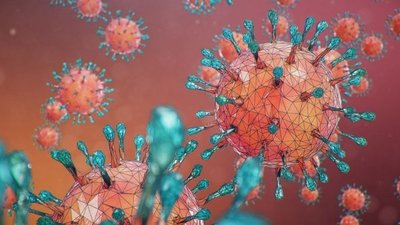 Detectan nueva variante del COVID en Brasil