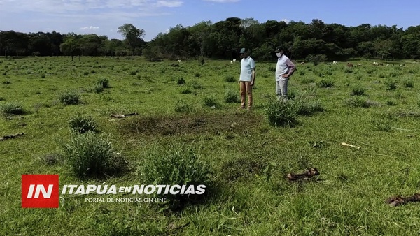 CUATREROS ATENTAN CONTRA PRODUCTOR PECUARIO DE SANTO DOMINGO.