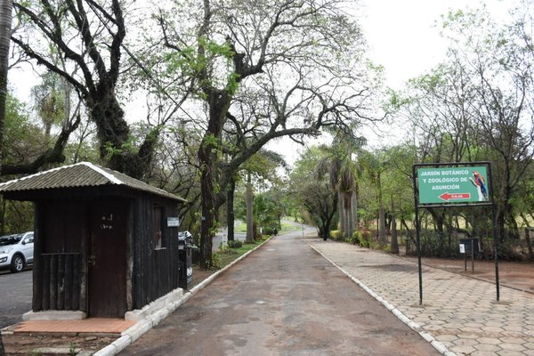 Zona del tacuaral del Jardín Botánico sería un lugar utilizado para atracos y abusos según denuncias existentes