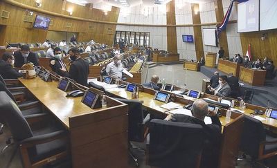 Colorados despenalizan reguladas de transportistas - Nacionales - ABC Color