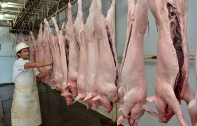 Envío de carne porcina cayó 17% en el primer trimestre
