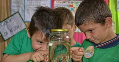 La Nación / Implementaron “Tikichuela-Ciencias en mi escuela” y mejoró la habilidad en ciencias en niños de preescolar