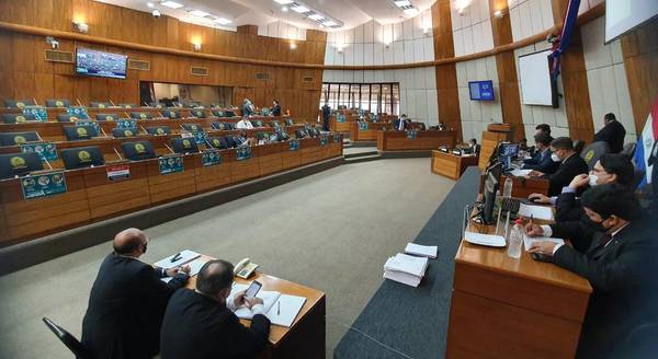 Diputados insta al Ministerio de Salud a liberar la venta de ivermectina - Noticiero Paraguay