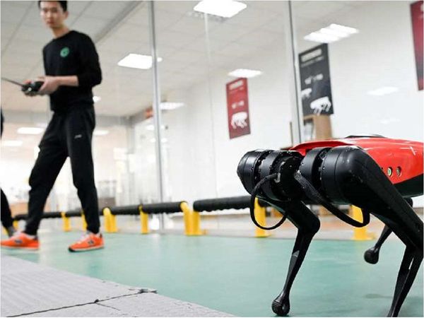 Los perros-robot, el último grito tecnológico en China