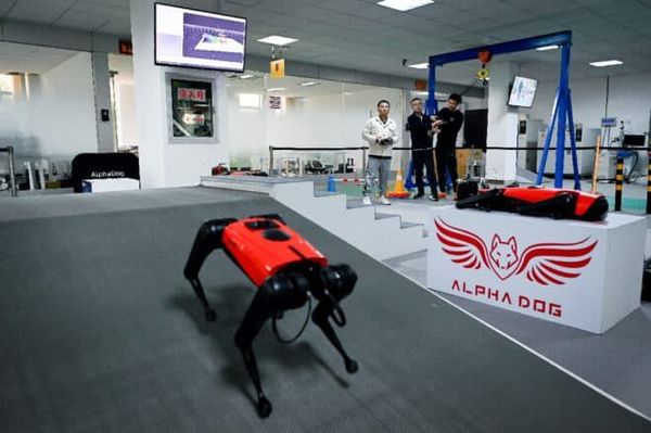 Perros-robot, el último grito tecnológico en China