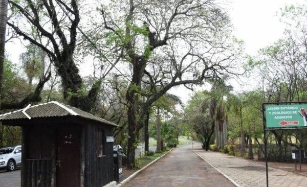 Diario HOY | Saltan más denuncias por robos y abusos en el Jardín Botánico