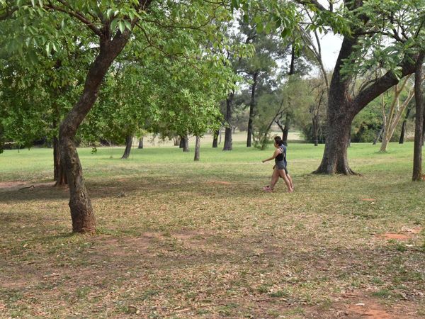 Junta Municipal convocará a directora del Jardín Botánico
