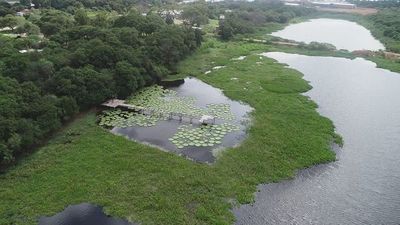 Prometen monitorear la laguna Cerro, que se está recuperando - Nacionales - ABC Color