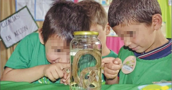 La Nación / Implementan estrategia radial interactiva en niños del preescolar