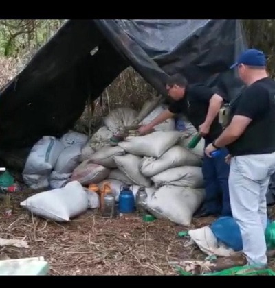 Incautan varios kilos de marihuana en procedimiento conjunto | Ñanduti