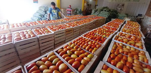 Apuntan a exportar garantizando calidad - Nacionales - ABC Color