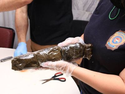 Senad incauta marihuana de alta pureza procedente de EEUU