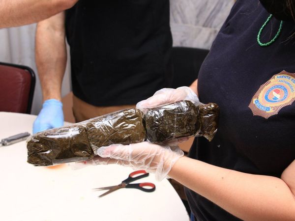 Senad incauta marihuana de alta pureza procedente de EEUU