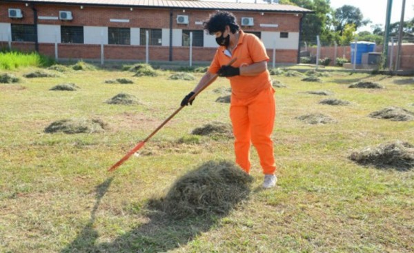 Campaña #YoProtejoCDE y #CDERespira ya lleva 1.400 árboles plantados