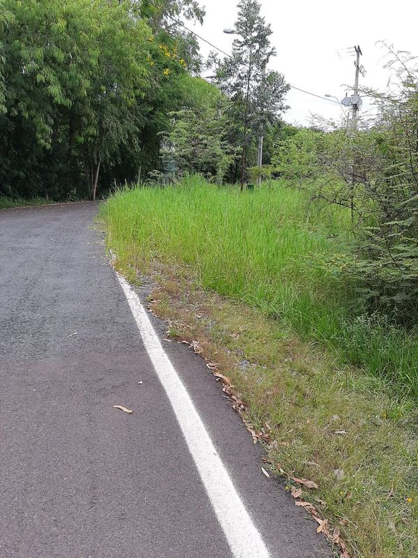 Ciudadanos exigen seguridad e infraestructura en Parque Guasu Metropolitano - Nacionales - ABC Color