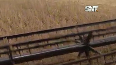 Ingresos económicos: Un respiro para la economía paraguaya - SNT