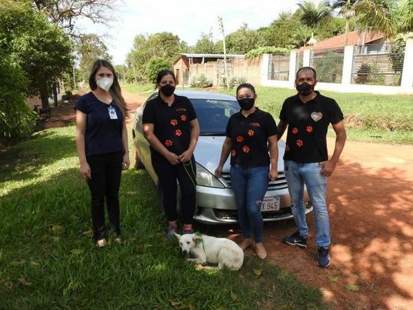 Denuncian caso de zoofilia en San Juan Nepomuceno - Nacionales - ABC Color