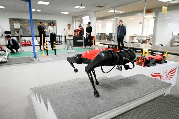 Los perros-robot, el último grito tecnológico en China - Mascotas - ABC Color