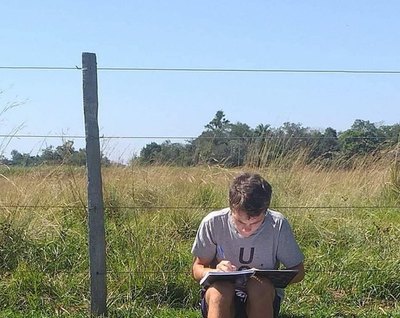 Crónica / EN EL CAMPO. Busca señal para poder estudiar