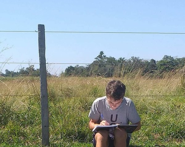 Crónica / EN EL CAMPO. Busca señal para poder estudiar