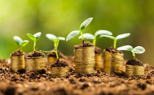 Mercado paraguayo se destaca en bonos verdes