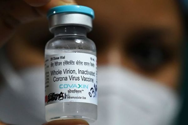 Estudios indican que vacunas indias son eficaces, según infectólogo