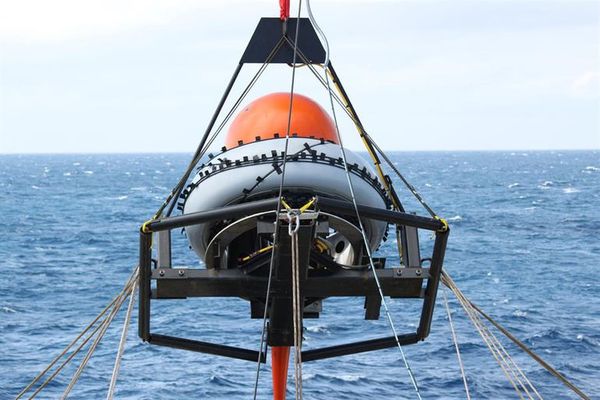 Científicos aprovechan la pandemia para hacer un mapa del sonido de los mares - Ciencia - ABC Color