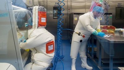 Científicos de todo el mundo rechazaron el informe de la OMS sobre el origen del COVID-19 | Ñanduti