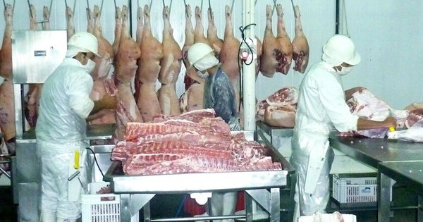 La Nación / Envíos porcinos disminuyeron 2,4% en los ingresos del primer trimestre