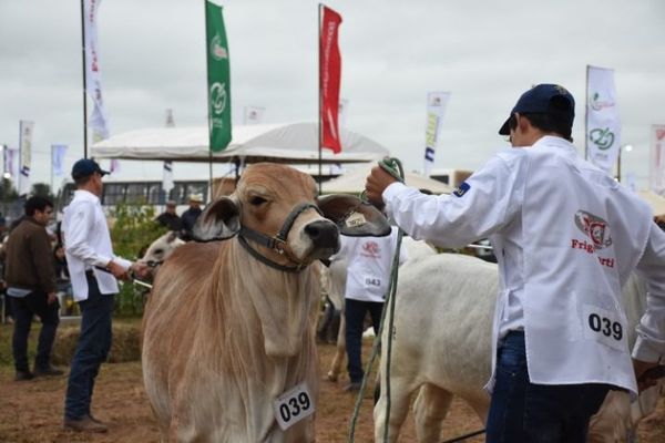 Salud aprobó el protocolo sanitario para Expo Pioneros 2021 - Nacionales - ABC Color