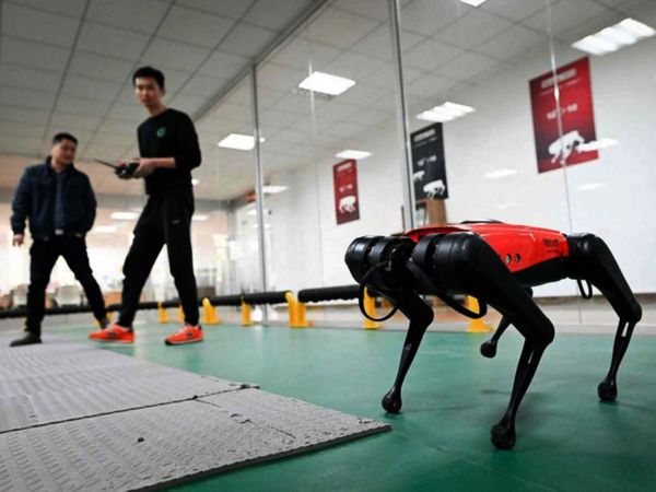 Los perros-robot, el último grito tecnológico que se impone en China