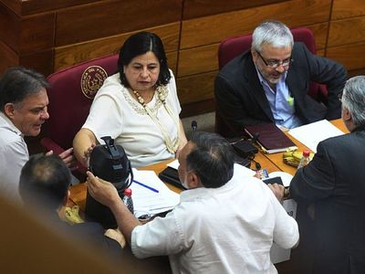 En el Senado se multiplican los proyectos de leyes de emergencia