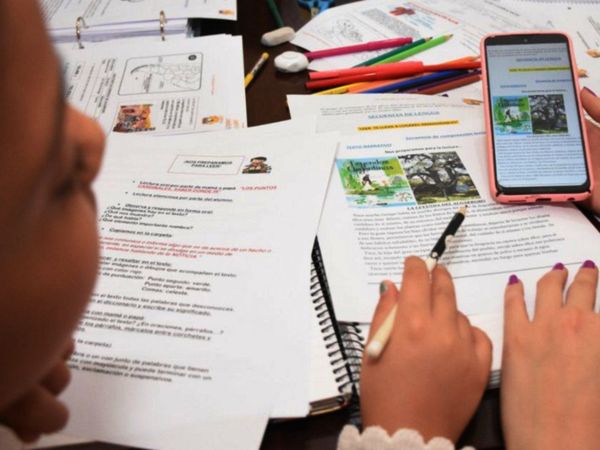 El MEC recomienda continuar con las clases a distancia en zonas rojas