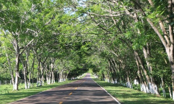 Santa Elena: la ciudad que dejó atrás la corrupción y hoy brilla por su limpieza