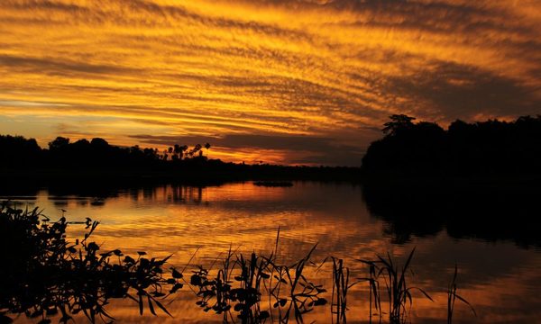 El agua y la naturaleza, ¿habías pensado de dónde viene el agua que usas?
