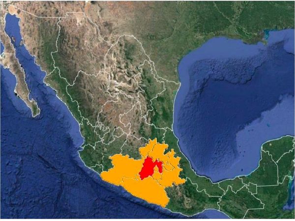México emite alerta por el robo de una fuente radiactiva