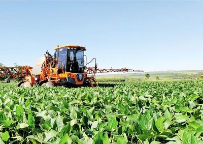 Productores esperan otra exitosa cosecha de soja - Nacionales - ABC Color