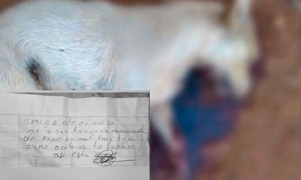 Pastoreo; A cuchillazos mataron a un perro y dejan una nota de amenaza – Prensa 5