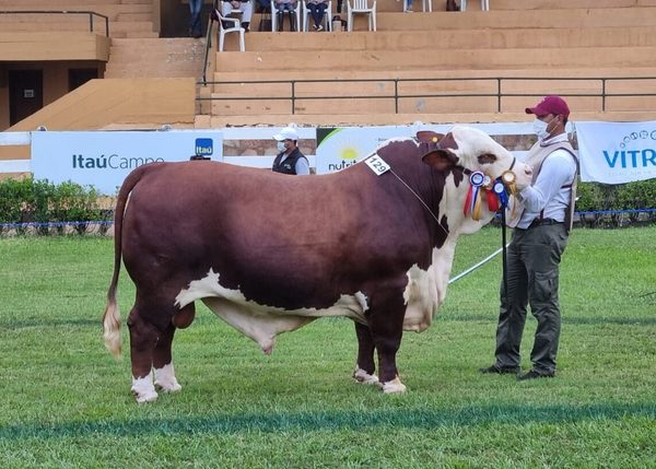 Altohondo y Agroganadera Ita Kaavo los Grandes Campeones de la Nacional Braford