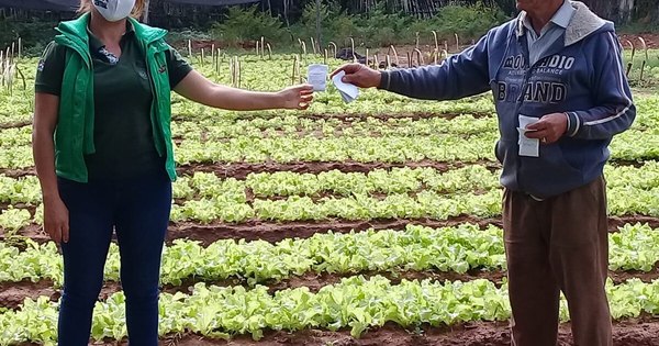 La Nación / Productores de Central recibieron insumos productivos